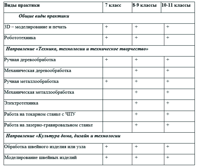 В Новый год новый дом для котят и их мамы